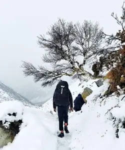 heavy snowfall at gaumukh trail